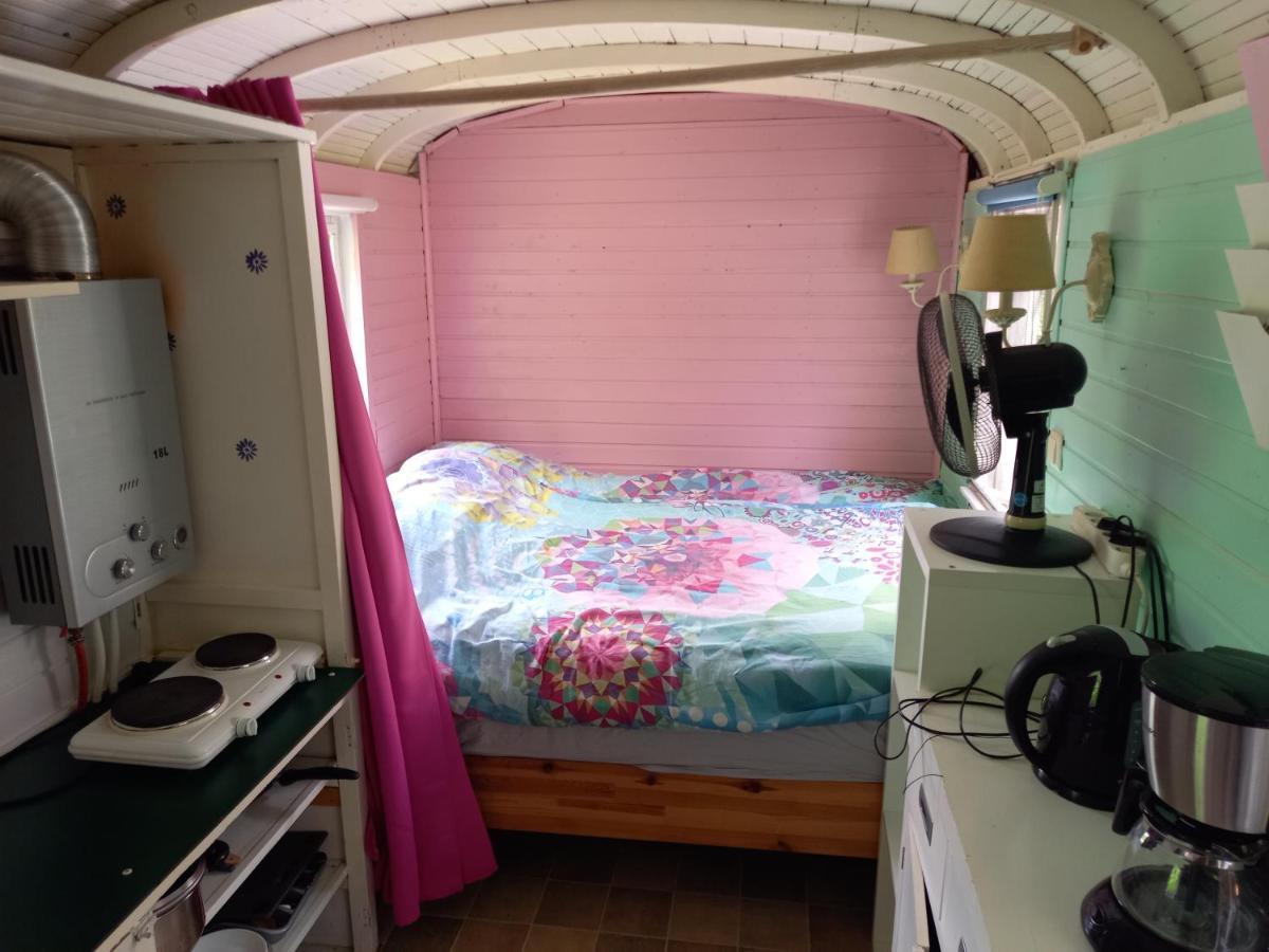مبيت وإفطار هارميلين Pipowagen/Chalet De Oude Rijn المظهر الخارجي الصورة