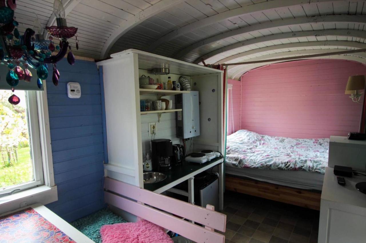مبيت وإفطار هارميلين Pipowagen/Chalet De Oude Rijn المظهر الخارجي الصورة